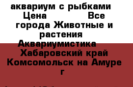 аквариум с рыбками › Цена ­ 15 000 - Все города Животные и растения » Аквариумистика   . Хабаровский край,Комсомольск-на-Амуре г.